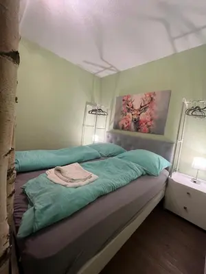 Ein Bett oder Betten in einem Zimmer der Unterkunft App 624 Panoramic Hohegeiß Terrassenhaus