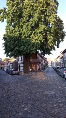 Die Umgebung um die Ferienwohnung