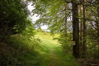 Naturlandschaft in der Nähe der Ferienwohnung