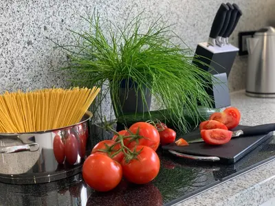 Essen in der Ferienwohnung oder in der Nähe