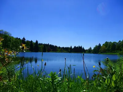 Naturlandschaft in der Nähe der Ferienwohnung