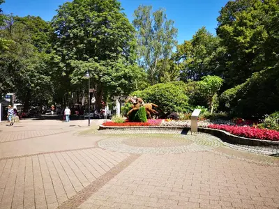 Ein Garten an der Unterkunft Harzfeuer Zentrum