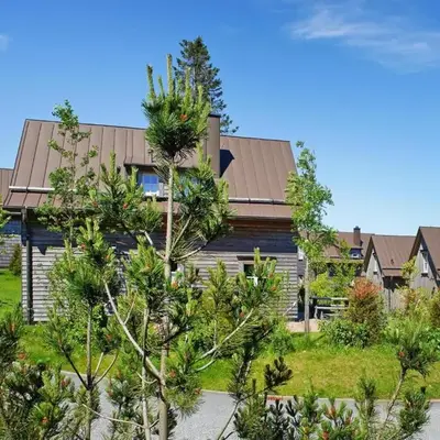 Semi-detached houses