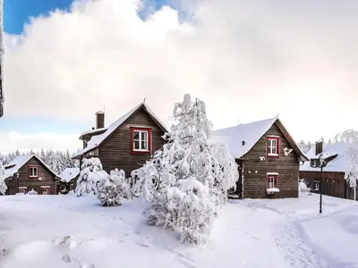 Ferienhäuser im Torfhaus Harzresort, Torfhaus im Winter
