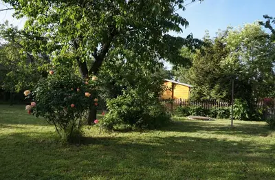 Ein Garten an der Unterkunft Ferienhaus Hundertmorgenfeld Wo 3