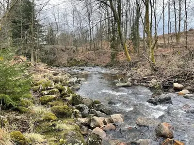 Naturlandschaft in der Nähe des Ferienhauses