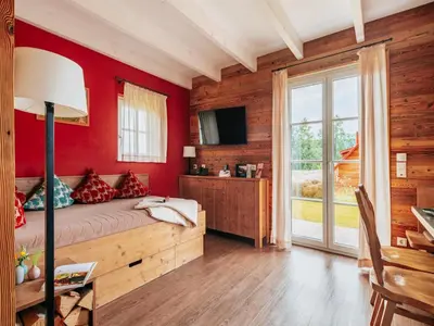 TV/Unterhaltungsangebot in der Unterkunft Ferienhaus in Schierke for 8 Personen