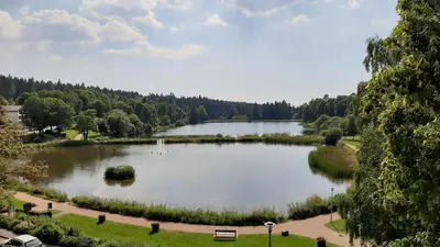 Naturlandschaft in der Nähe der Ferienwohnung