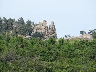 Naturlandschaft in der Nähe der Ferienwohnung