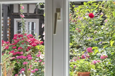 Ein Garten an der Unterkunft An der Gose - Gästezimmer & Appartement