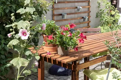 Ein Garten an der Unterkunft An der Gose - Gästezimmer & Appartement