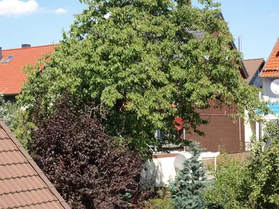 Ein Garten an der Unterkunft Ferienwohnung Köhler