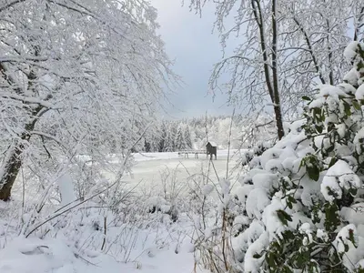 Wohnung am See in Hahnenklee im Winter
