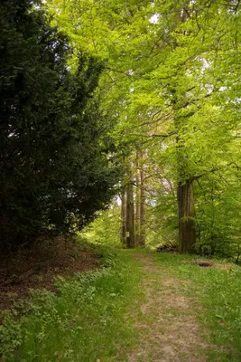 Naturlandschaft in der Nähe der Ferienwohnung