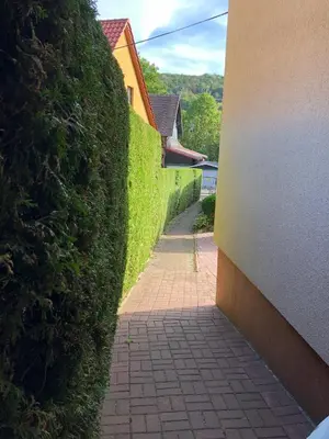 Ein Garten an der Unterkunft Ferienwohnung Harzerfuchs