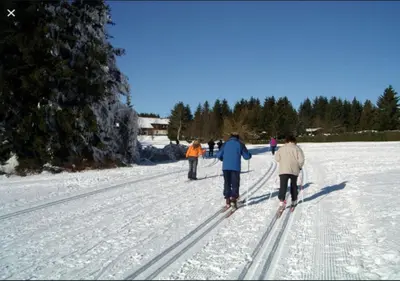 Traumharz im Winter