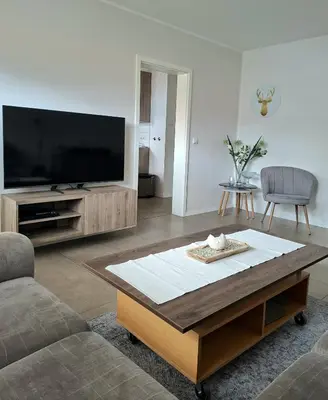 TV/Unterhaltungsangebot in der Unterkunft Ferienhaus Wasserkunst