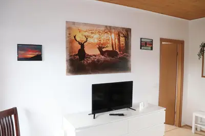 TV/Unterhaltungsangebot in der Unterkunft Ferienhaus Geli
