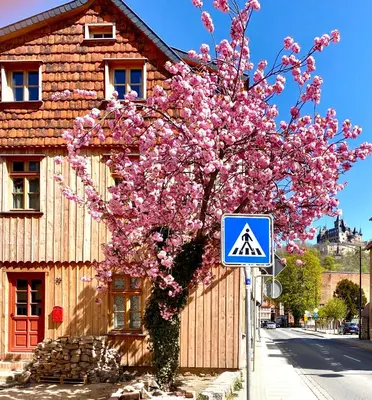 Das Gebäude in dem sich die Ferienwohnung befindet