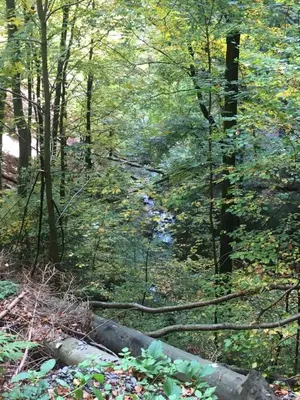 Naturlandschaft in der Nähe der Ferienwohnung