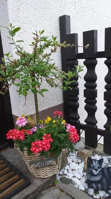 Ein Garten an der Unterkunft Ferienwohnung Am Steinbachtal