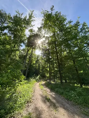 Naturlandschaft in der Nähe des Ferienhauses