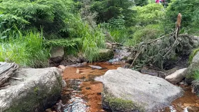 Naturlandschaft in der Nähe des Campingplatzes