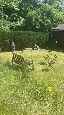 Ein Garten an der Unterkunft Panorama Lodge Hohegeiß Sport und Erholung im Harz