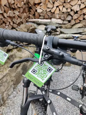 Radfahren an der Unterkunft FaFeWo Ferienwohnungen mit Sternekomfort in Tanne Harz oder in der Nähe