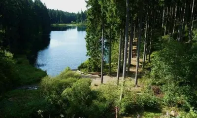 Naturlandschaft in der Nähe der Ferienwohnung
