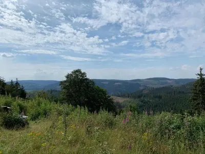 Naturlandschaft in der Nähe des Ferienhauses
