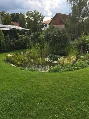 Ein Garten an der Unterkunft Schöne gemütliche Ferienwohnung mit Kamin II im Harz
