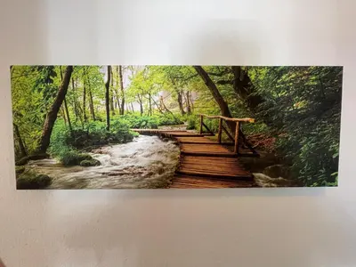 Naturlandschaft in der Nähe der Ferienwohnung