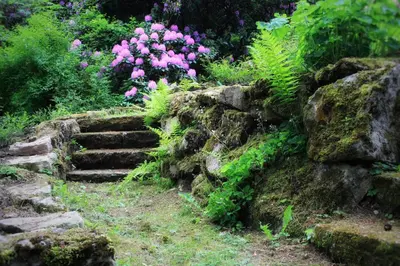 Ein Garten an der Unterkunft Villa Brodthage, App. 1
