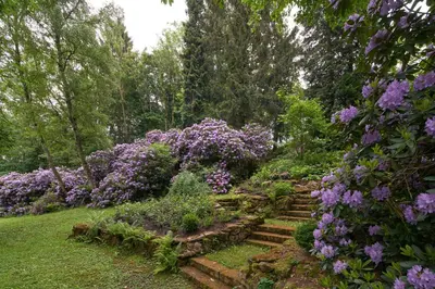 Ein Garten an der Unterkunft Villa Brodthage, App. 1