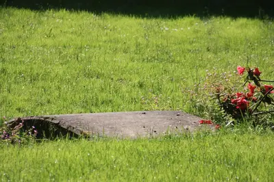 Ein Garten an der Unterkunft Villa Brodthage, App. 2