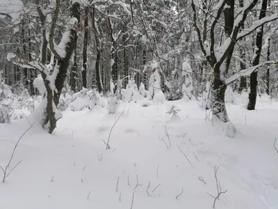 Landhaus Dahlem im Winter