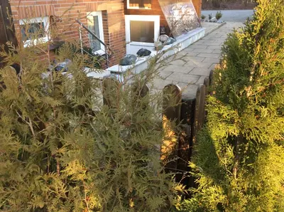 Ein Garten an der Unterkunft Ferienwohnung Harzblick 1