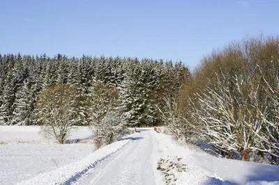 Ferienwohnung Hexenzauber I in Braunlage im Winter