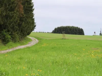 Naturlandschaft in der Nähe der Ferienwohnung