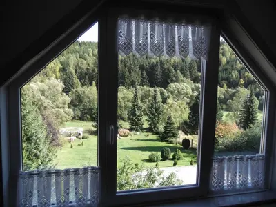 Ein Garten an der Unterkunft Pension Waldhof