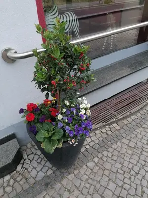 Ein Garten an der Unterkunft Hotel Gasthaus Bodetal
