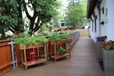 Ein Garten an der Unterkunft Haus Hanseatic Ferienwohnungen