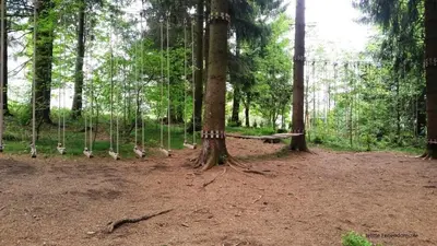 Naturlandschaft in der Nähe der Ferienwohnung
