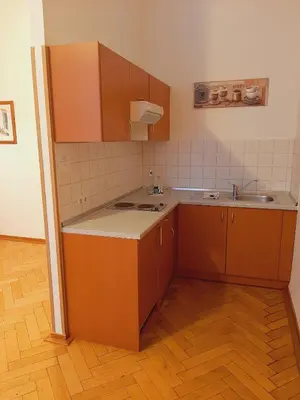 Küche/Küchenzeile in der Unterkunft Altwernigeröder Apparthotel
