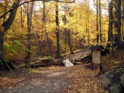 Naturlandschaft in der Nähe des Hotels
