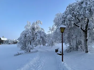 Gemütliche Ferienwohnung Harz Braunlage Hohegeiß im Winter