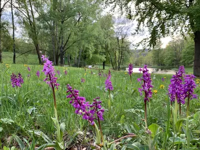 Naturlandschaft in der Nähe der Ferienwohnung