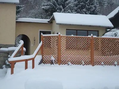 Eichhörnchen Wernigerode im Winter