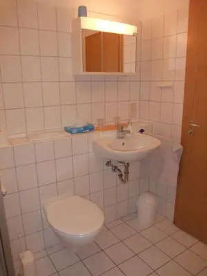Ein Badezimmer in der Unterkunft Ferienhaus Hubertus in Elend mit Balkons